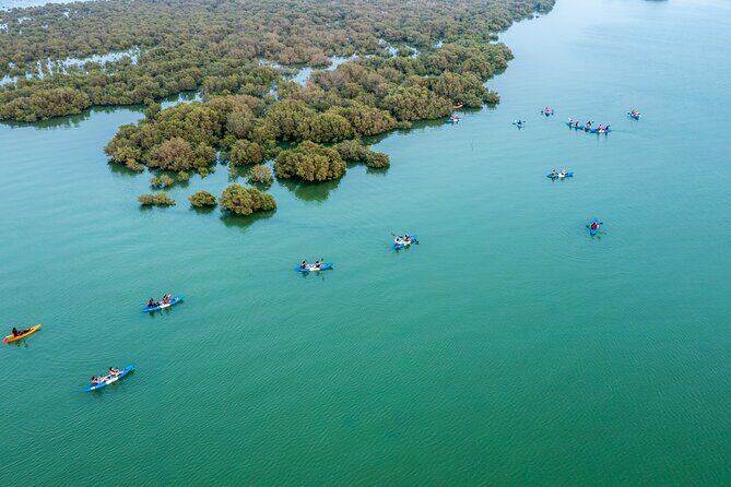 Eco Kayaking Adventure  Mangrove Exploration at Purple Island - Final Thoughts: Who Will Love This Tour?