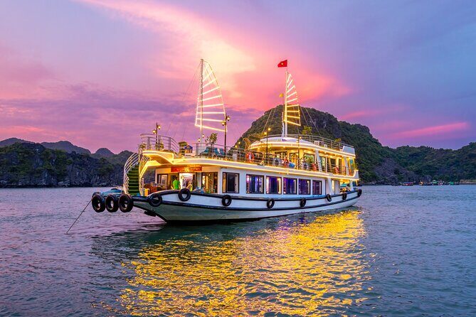 Eco Night Kayak Cruise: Bioluminescent Plankton in Lan Ha Bay - Introduction