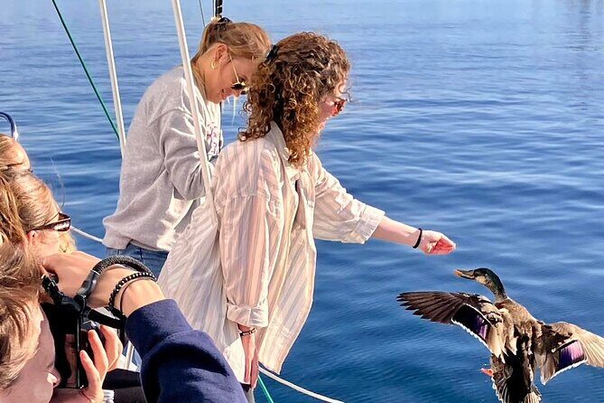 Eco Sailing Tour to Maori Rock Carvings on Lake Taupo - Who Will Love This Experience?