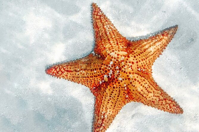 eco-saona-island-excursion-from-punta-cana