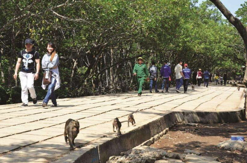 eco-tour-from-ho-chi-minh-can-gio-mangrove-forest