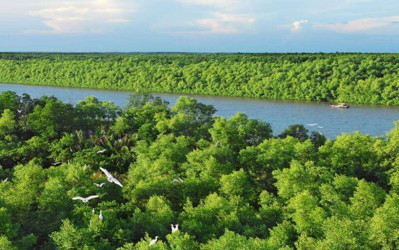 eco-tour-from-ho-chi-minh-can-gio-mangrove-forest