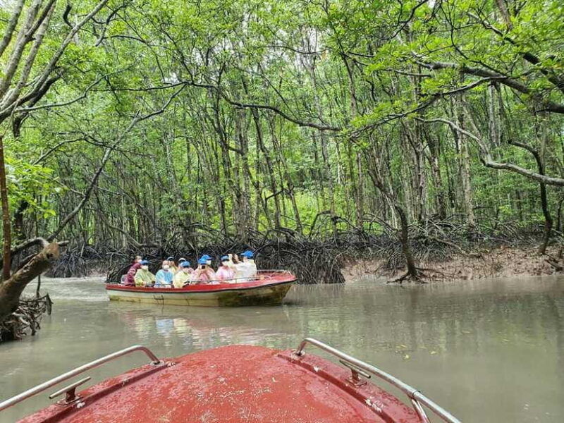 eco-tour-from-ho-chi-minh-can-gio-mangrove-forest