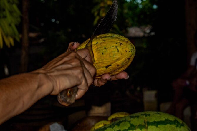 eco-tour-playa-el-limon-multi-activity-excursion
