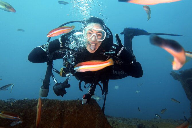 eco-try-dive