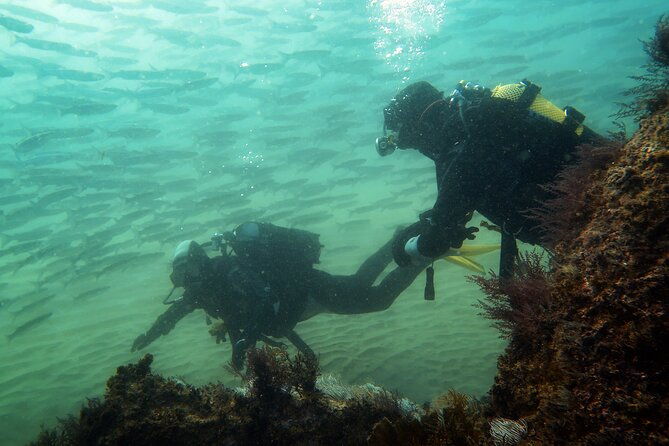 eco-try-dive