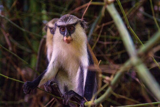 Eco Volta Expedition - Key Points