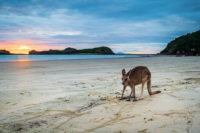 Eco Wildlife Two-Day Tour  Platypus & Kangaroos - FAQs