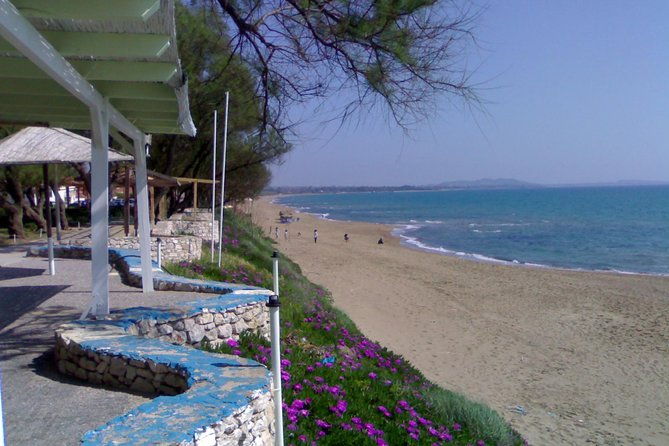 eco-yoga-section-with-snaks-all-included-from-katakolo-port