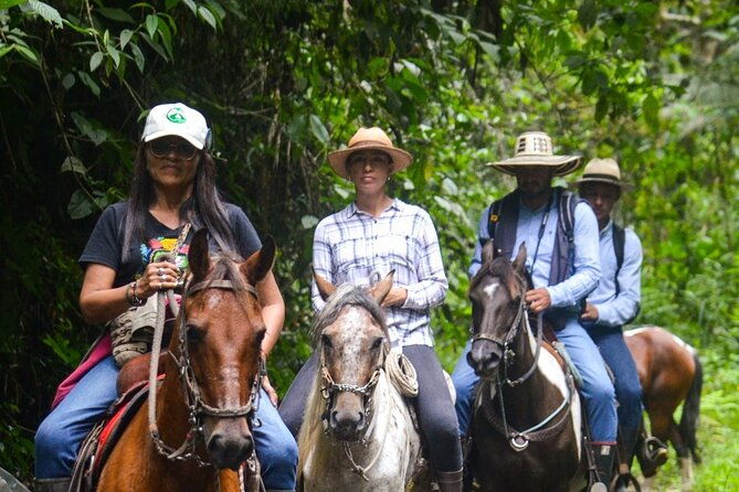 ecological-horseback-riding-in-murillo-tolima