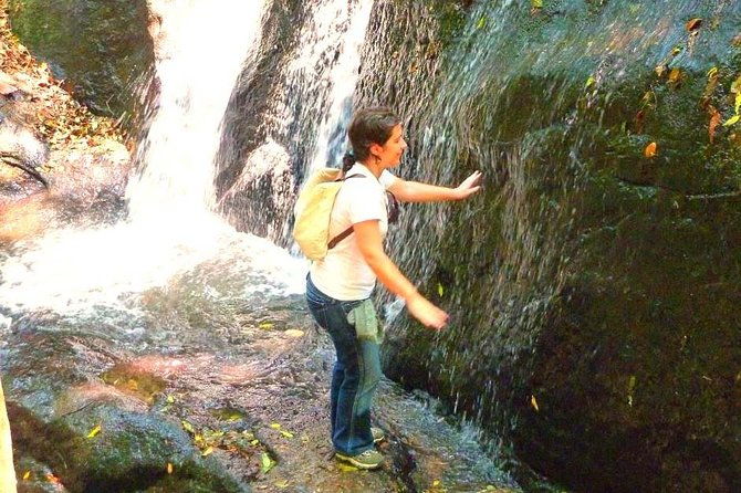 ecological-walk-in-sao-paulo