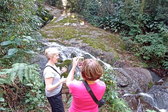 ecological-walk-in-sao-paulo