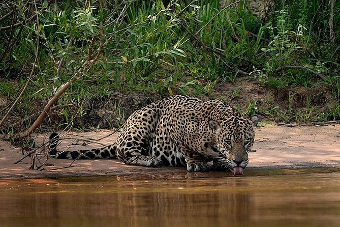 economic-manu-jungle-tour-4-days