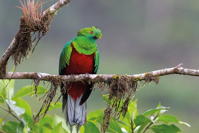 economic-manu-jungle-tour-4-days