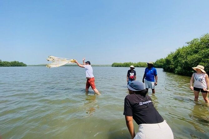 ecotour-craft-fishing-and-cultural-immersion-in-mangroves