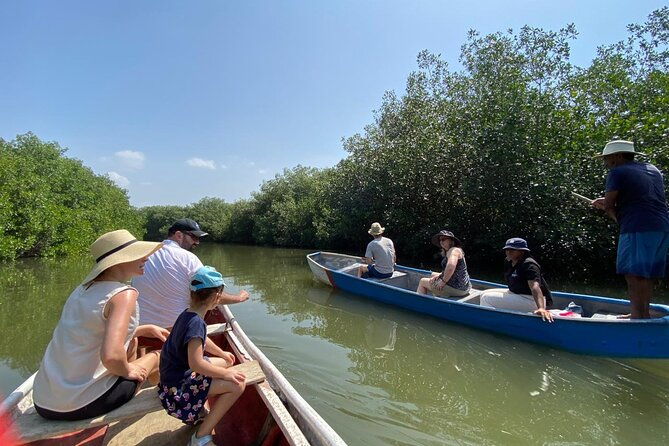 ecotour-craft-fishing-and-cultural-immersion-in-mangroves
