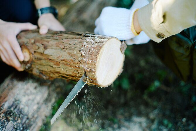 Ecotourism and Woodcraft with a Mountain Artist Near Tokyo - Practical Details: Transportation, Duration, and Cost