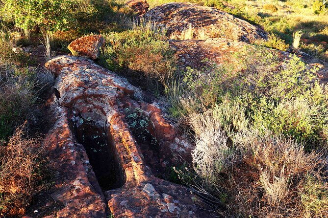 ecotourism-experience-with-archaeological-route-local-gastronomy-and-art-workshop