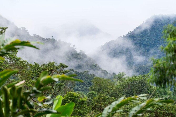 ecuador-birds-tour-mindo-cloud-forest-by-richard-hernandez