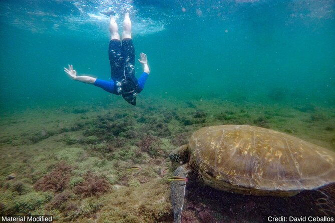 ecuador-galapagos-see-it-all-in-12-days-1st-class-tours