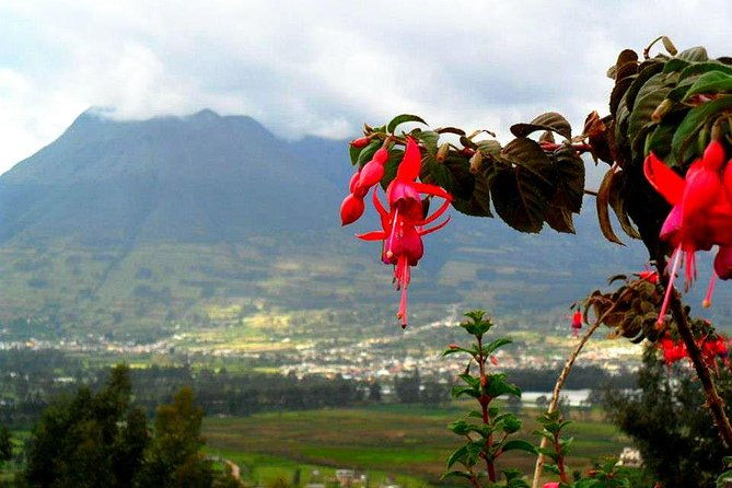 ecuador-gateway-5-days-tour