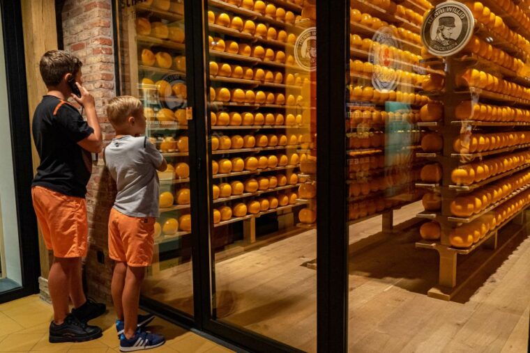 edam-edam-cheese-museum-entry-ticket
