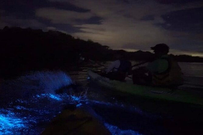 eddys-bioluminescence-reserve-in-punta-cuchillos