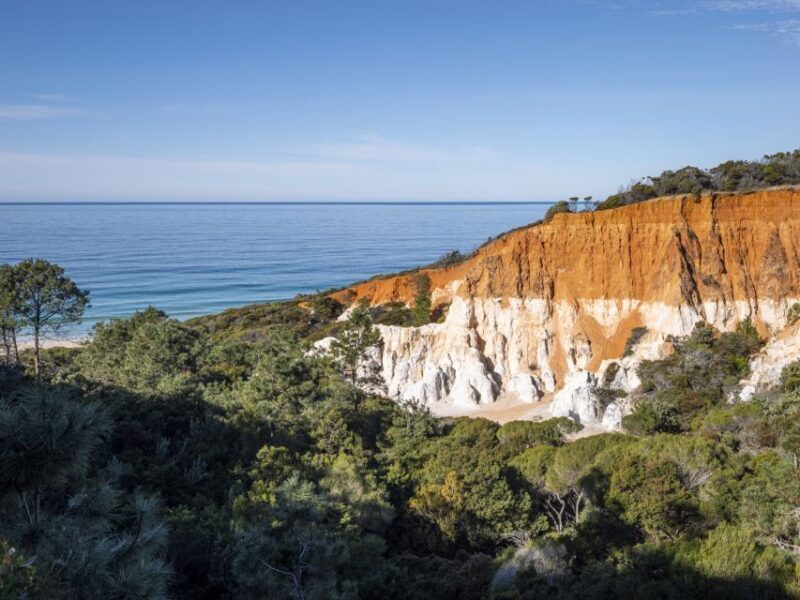 Eden: 2-Hour Highlights Tour, Nature, Beaches and Lookouts - Exploring Eden’s Highlights: What to Expect