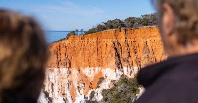 Eden: 2-Hour Highlights Tour, Nature, Beaches and Lookouts - The Guides and Reviews: What Travelers Say