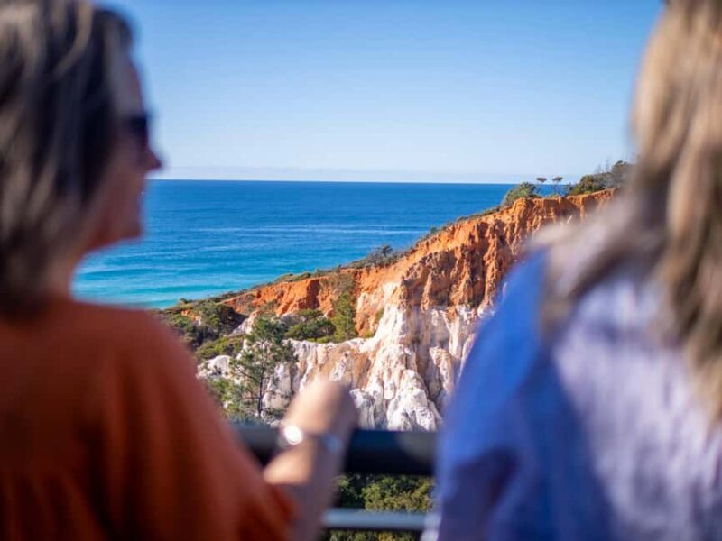 Eden: 2-Hour Highlights Tour, Nature, Beaches and Lookouts - Who Should Consider This Tour?