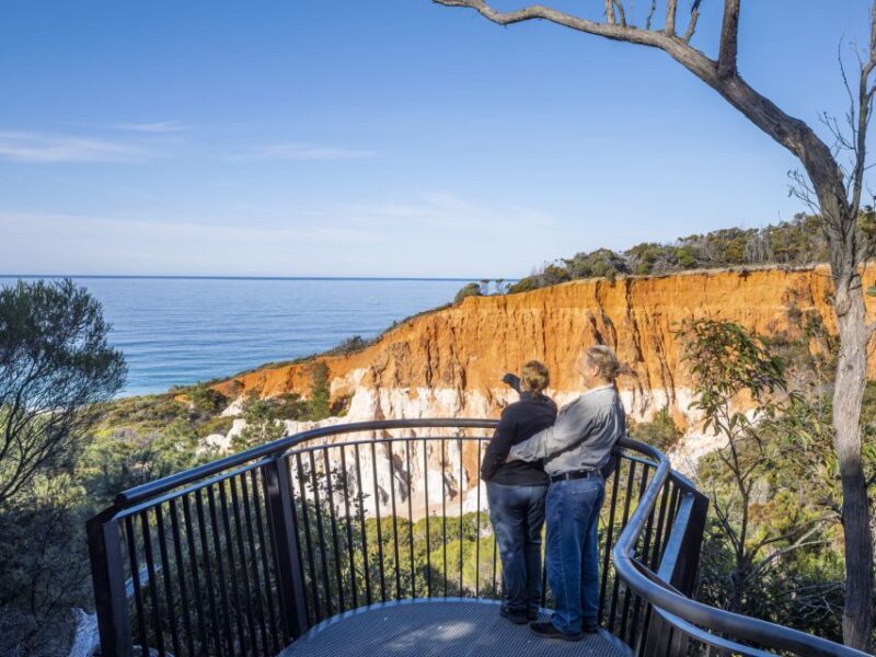Eden: 2-Hour Highlights Tour, Nature, Beaches and Lookouts - The Sum Up