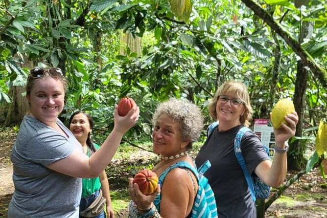 eden-chocolate-tour-with-lunch-included