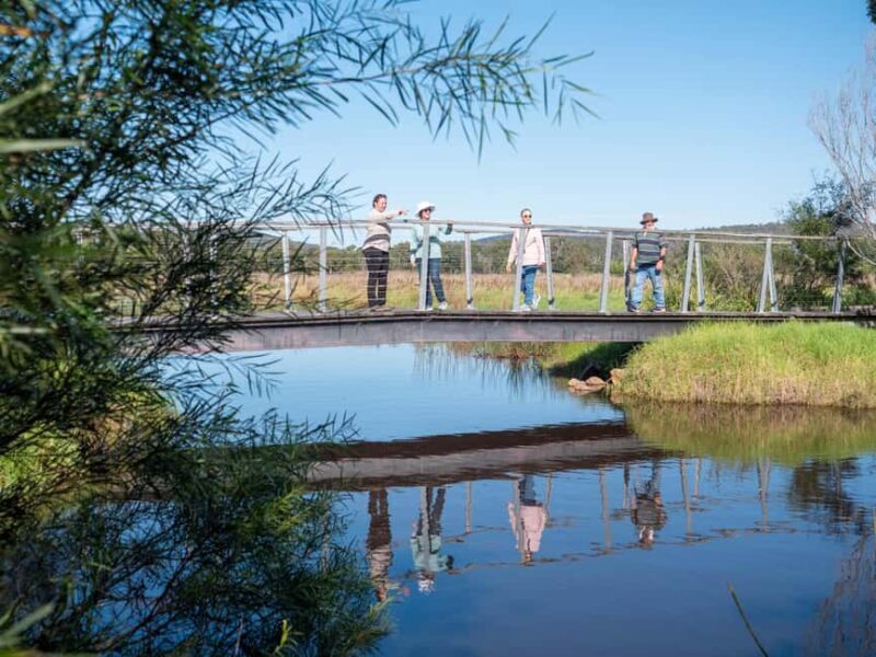 Eden: Panboola Wetlands and Potoroo Palace Tour with Lunch - Exploring the Eden to Merimbula Experience