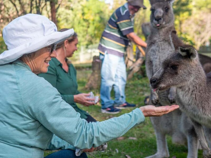 Eden: Panboola Wetlands and Potoroo Palace Tour with Lunch - Final Thoughts