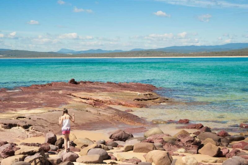 Eden: Sapphire Coast 4 Hour Shore Excursion - Final Thoughts