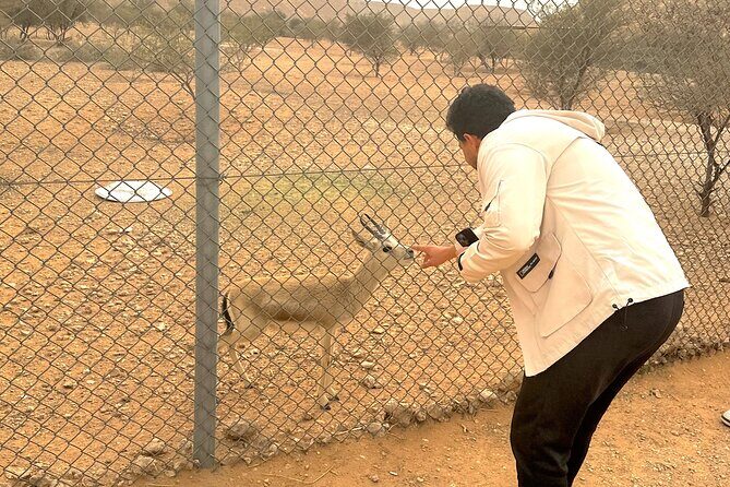 Edge of The World & Deer Reserve Off-road 4x4 Car Tour in Riyadh - A Closer Look at the Itinerary