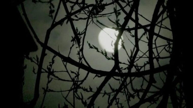 edinburgh-2-hour-nighttime-ghost-tour