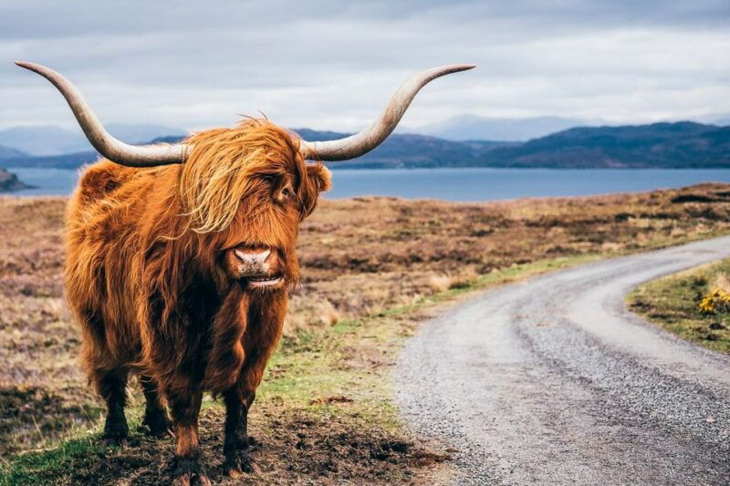 edinburgh-3-day-isle-of-skye-highlands-and-loch-ness-tour