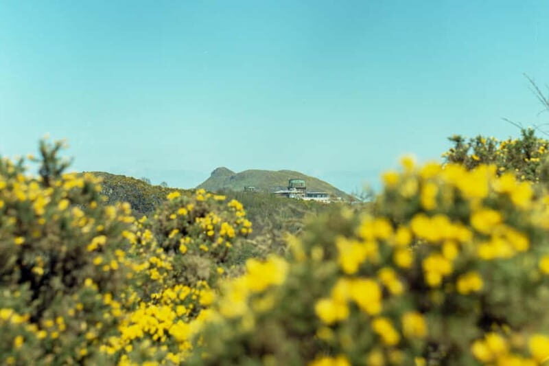 Edinburgh: Arthur's Seat Hike with Mountain Guide - Authentic Experiences and Hidden Gems