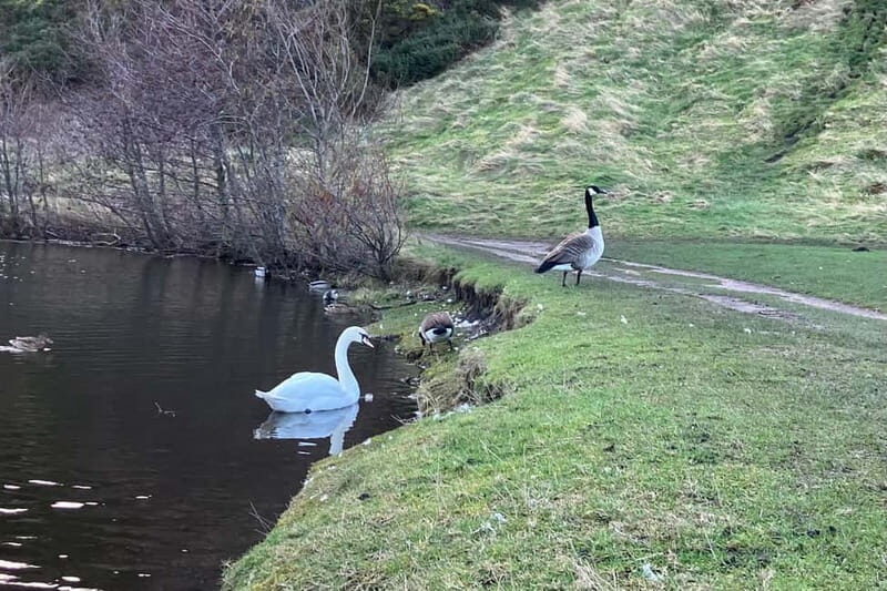 Edinburgh: Guided Hike to Arthur's Seat and Calton Hill - Meeting and Ending Point