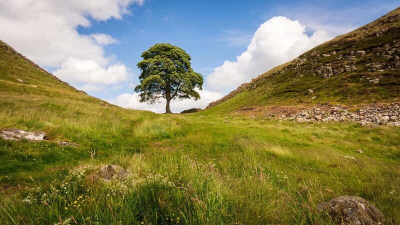 Edinburgh: Hadrian's Wall & Scottish Borders Day Trip - Final Thoughts: Who Is This Tour Best For?
