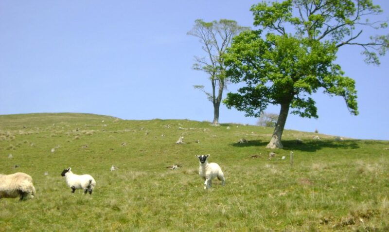 edinburgh-hill-nature-hike-with-a-local