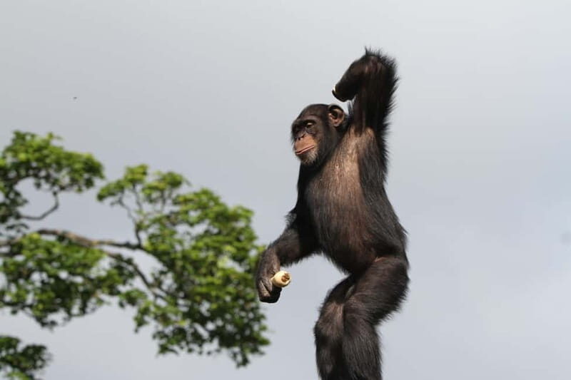 Edinburgh: Late Night Edinburgh Zoo Entry Ticket - Practical Tips for Visiting