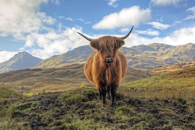 Edinburgh: Loch Ness, Glencoe & The Highlands Day Trip - Frequently Asked Questions