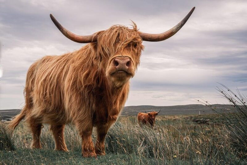 edinburgh-loch-ness-inverness-highlands-tour-in-spanish