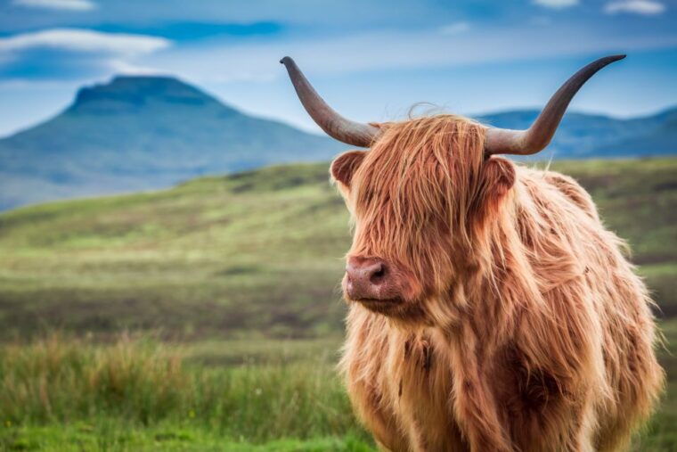 edinburgh-loch-ness-inverness-highlands-tour-in-spanish