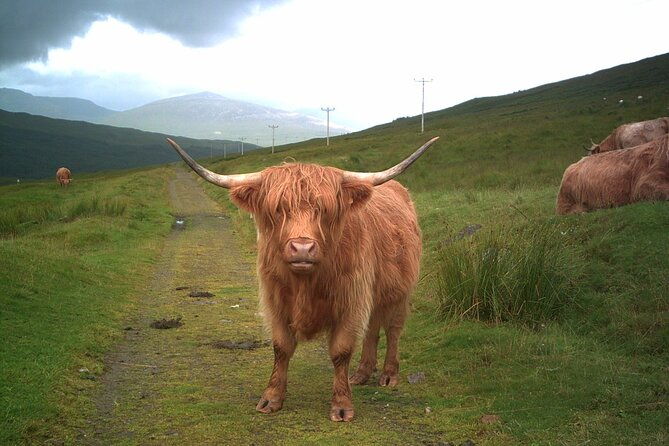 edinburgh-private-loch-ness-glencoe-and-the-highlands-tour