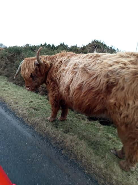 Edinburgh: Stirling, Highlands, Loch Ness, Mull 5-Day Tour - Who Is This Tour Perfect For?  