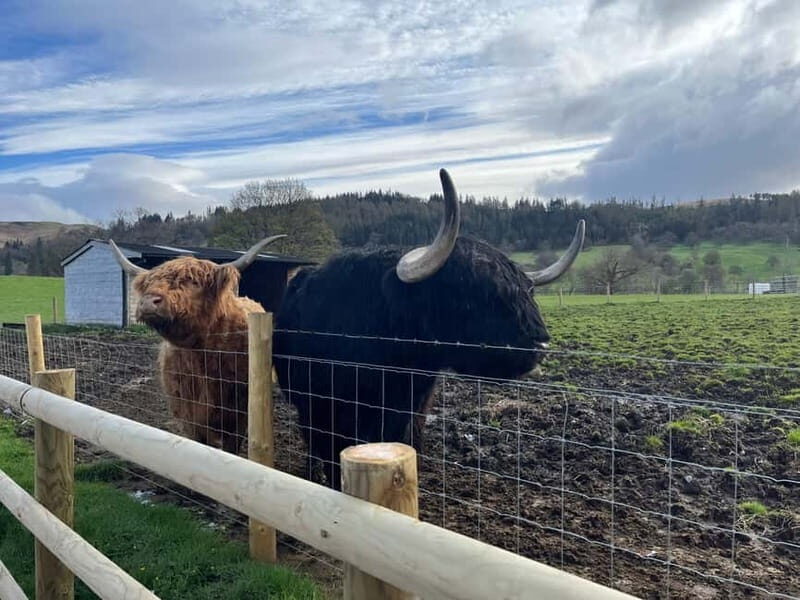 Edinburgh: The Kelpies, Loch Lomond & Trossachs Day Trip - Key Points
