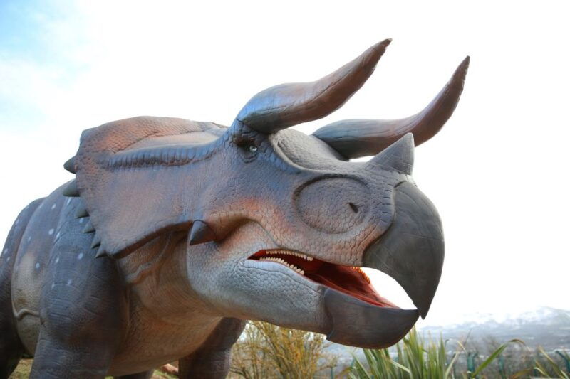 edinburgh-zoo-entrance-ticket